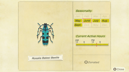 ACNH - Rosalia Batesi Bettle on the Critterpedia