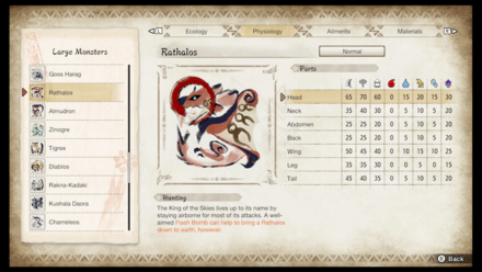 MH Rise - Weakness Per Body Part