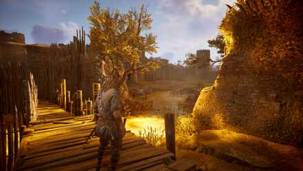 Templebrough Raven Top.jpg