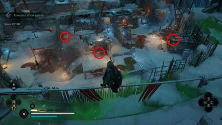 Free the Animals.jpg