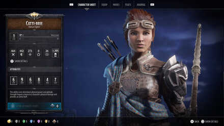 Dark Alliance Catti-brie Attributes.jpg