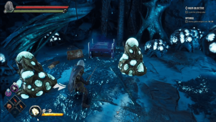 Dark Alliance - Verbeeg Chest Location 6