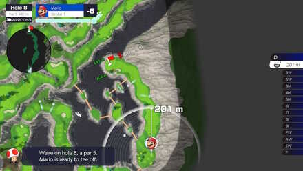 Ridgerock Lake Hole 8