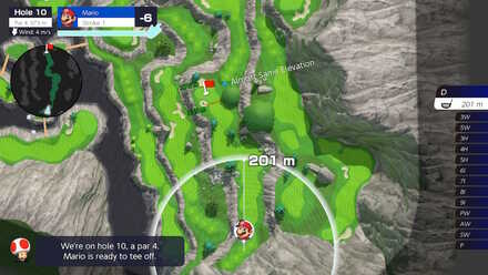 Ridgerock Lake Hole 10