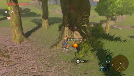 Endura Shroom - Exchange Ruins