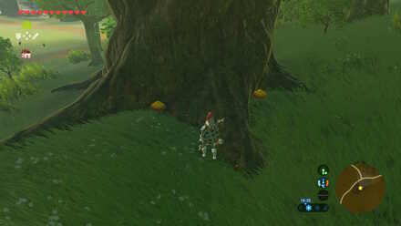 Endura Shroom - Windvane Meadow and Hyrule Garrison Ruins