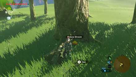 Endura Shroom - Passeri Greenbelt 1