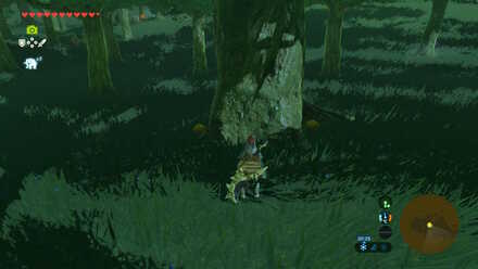 Endura Shroom - Passeri Greenbelt 2