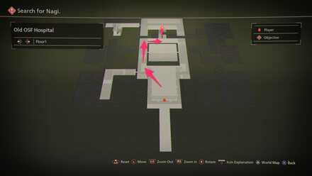 Old OSF Hospital Path