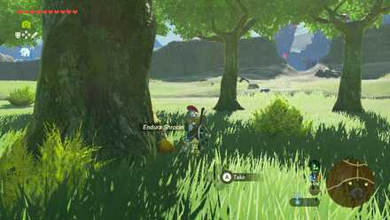 Endura Shroom - Sacred Ground Ruins 1