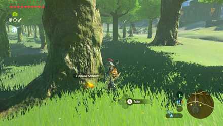 Endura Shroom - Sacred Ground Ruins 2