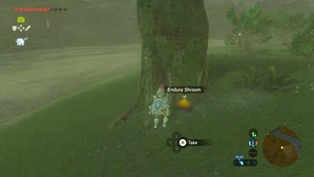 Endura Shroom - Applean Forest