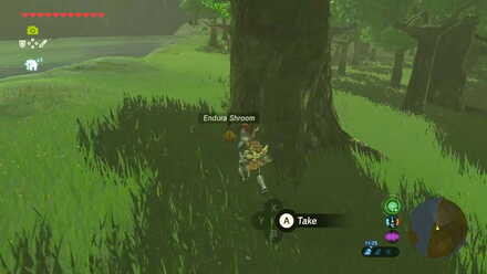 Endura Shroom - Moat Bridge 1