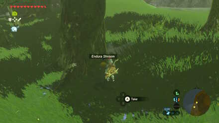Endura Shroom - Moat Bridge 2