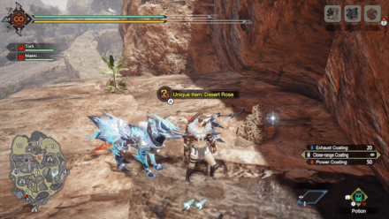 MH Rise - Rock Rose from Desert Rose