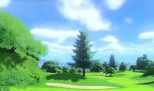 Rookie Course Banner.JPG