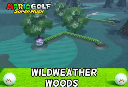 Mario Golf: Super Rush courses list and how to unlock them