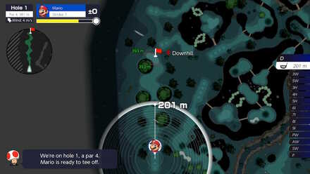 Wildweather Woods Hole 1