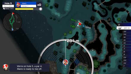 Wildweather Woods Hole 5