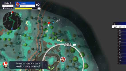 Wildweather Woods Hole 9