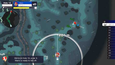 Wildweather Woods Hole 10