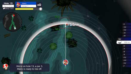 Wildweather Woods Hole 13