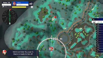 Wildweather Woods Hole 16