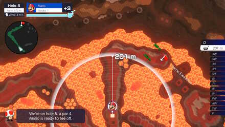 Bowser Highlands Hole 5