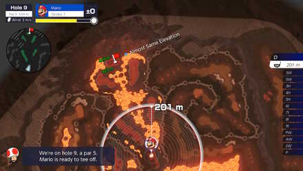 Bowser Highlands Hole 9