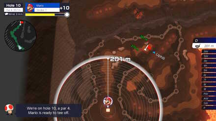 Bowser Highlands Hole 10