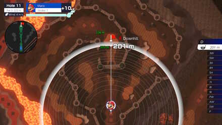 Bowser Highlands Hole 11