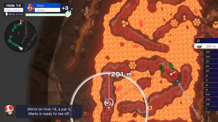 Bowser Highlands Hole 14