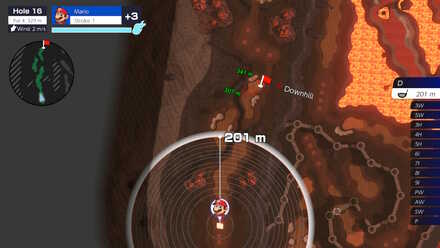 Bowser Highlands Hole 16