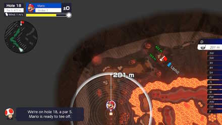 Bowser Highlands Hole 18