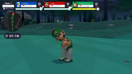 Special Match Luigi.jpg