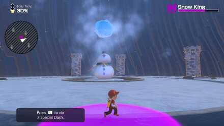 No Arms or Bottom.jpg