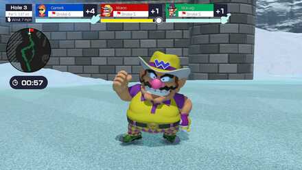 Wario Par.jpg