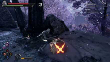 Dark Alliance - Hunting Ground Cage Location 7