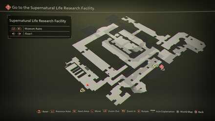 Museum Ruins Floor 1