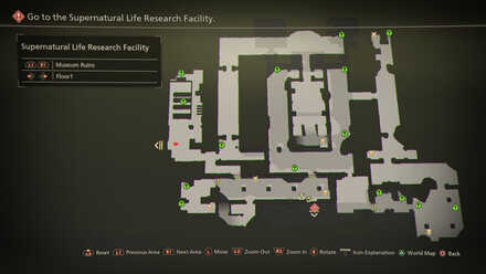 Museum Ruins Floor 1 Mapped Items