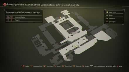 Museum Ruins - Floor 2