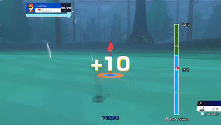 Putting in the Rain.jpg