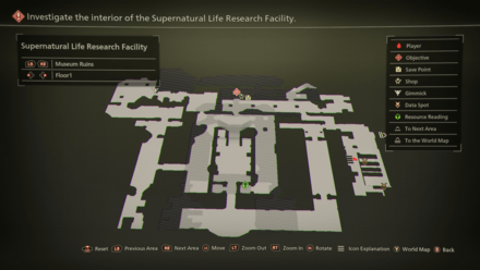 Museum Ruins Floor 1