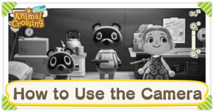 Animal Crossing: New Horizons (ACNH) - How to Use the Camera