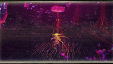 Brain Field: Swing Level Up