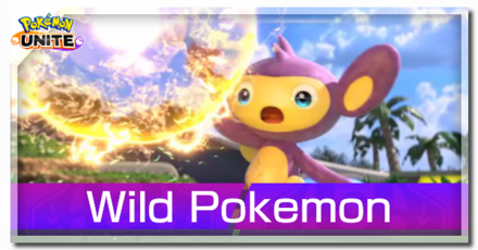 Wild Pokemon Banner (Updated).png