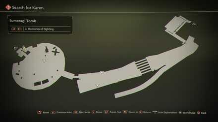 Memories of Fighting