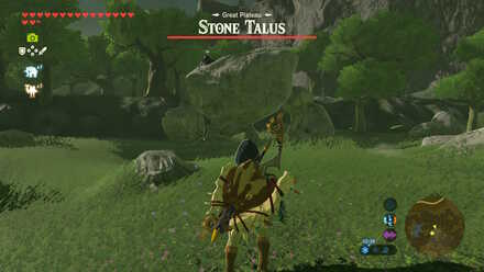 Stone Talus - Great Plateau