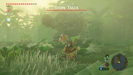 Stone Talus - Floria Falls