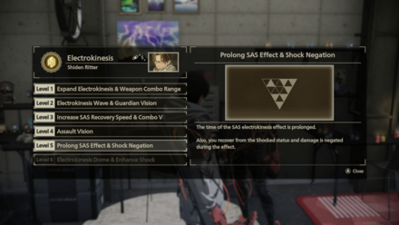 Shiden Bond SAS Level Up